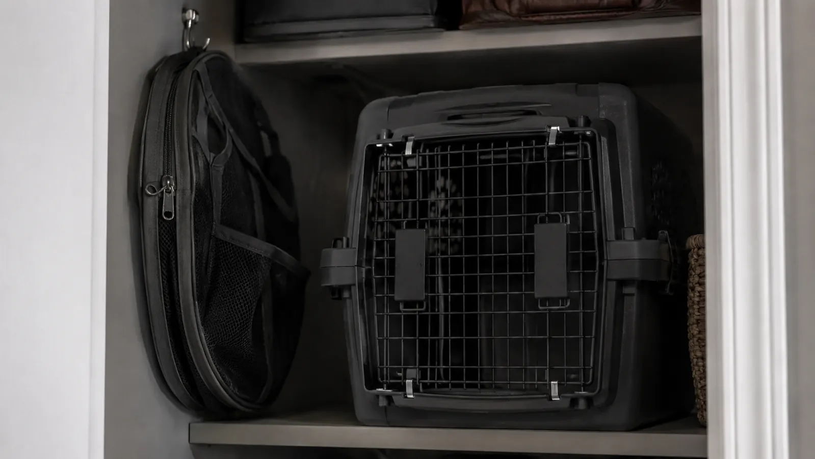 A folded flat soft-sided cat carrier stored in a closet next to a bulky hard crate